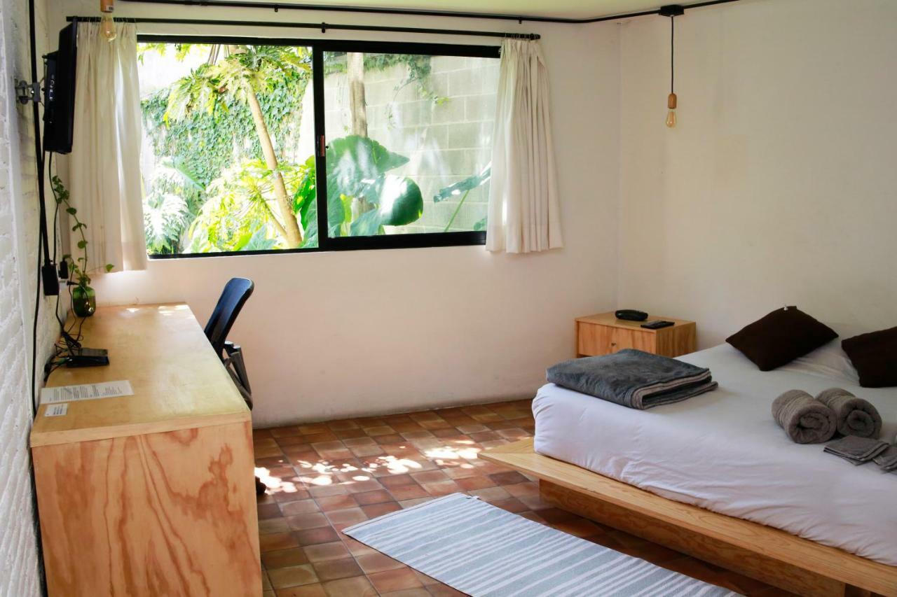 Coyoacan City Lofts Kota Meksiko Bagian luar foto