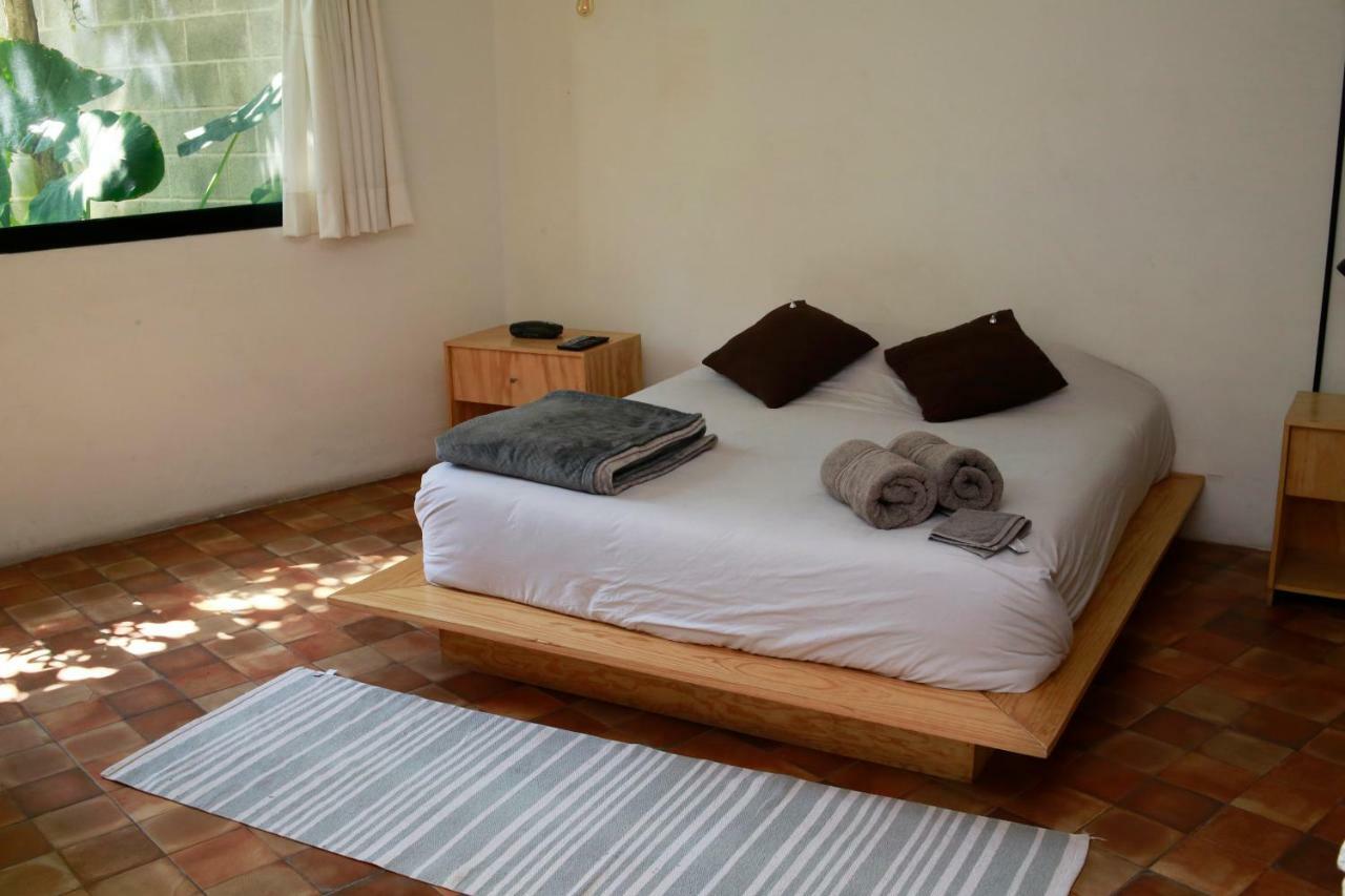 Coyoacan City Lofts Kota Meksiko Bagian luar foto