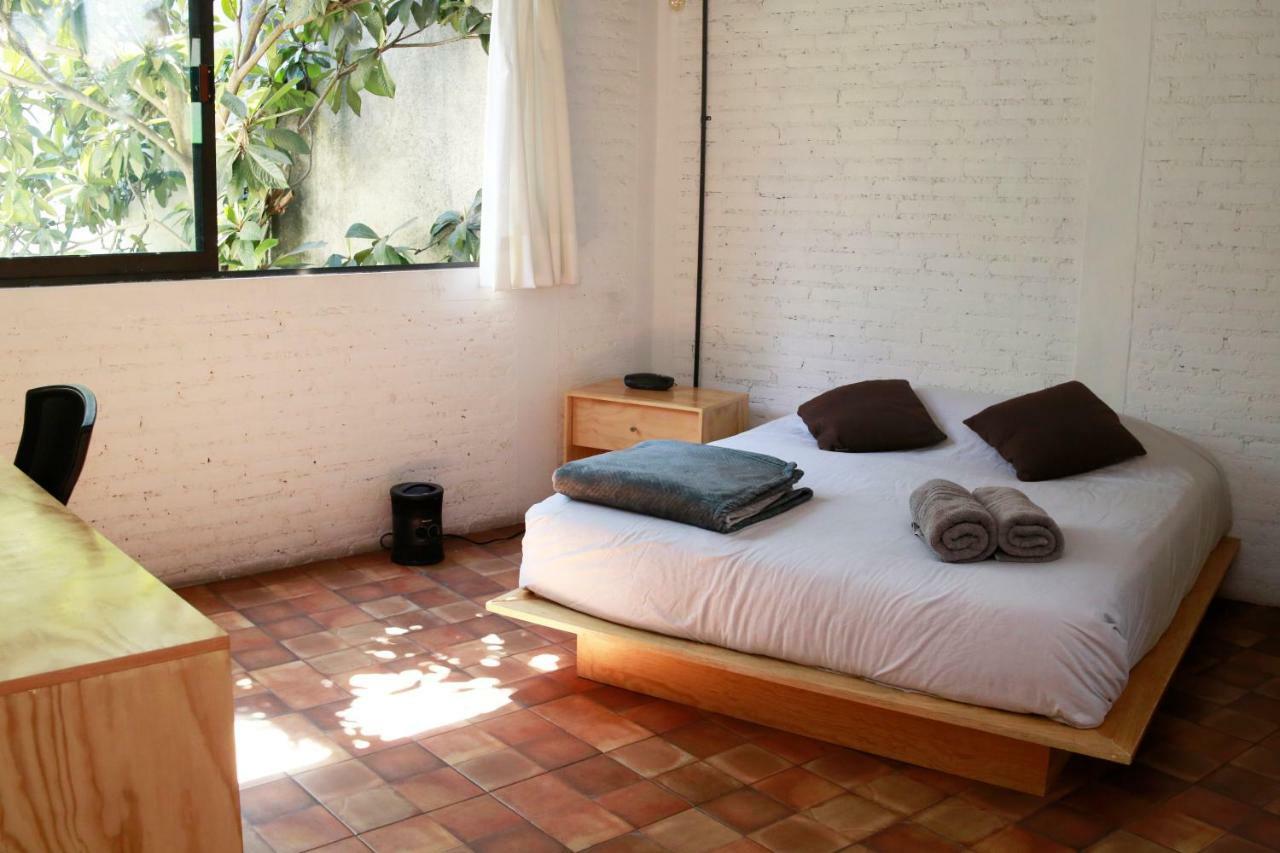 Coyoacan City Lofts Kota Meksiko Bagian luar foto